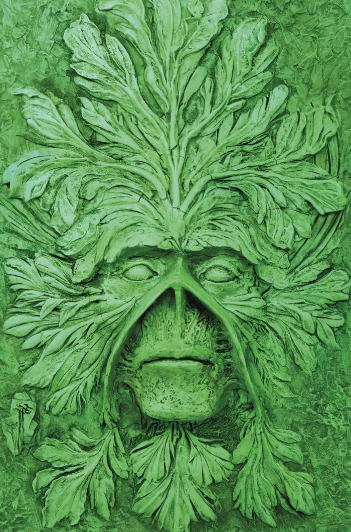 Absolute Swamp Thing by Alan Moore Volume 1
