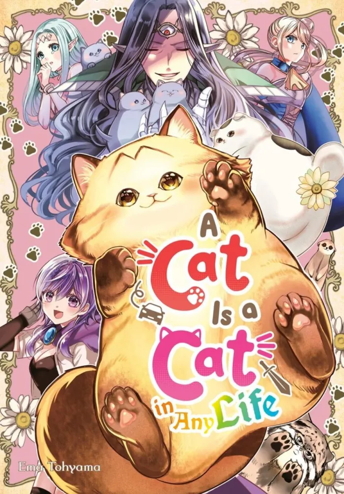 A Cat Is a Cat in Any Life