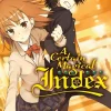 A Certain Magical Index, Vol. 12 (Novel) Novel