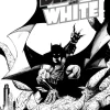 Batman Black & White