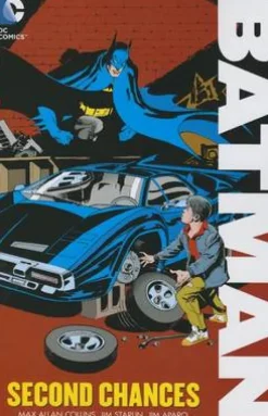 Batman The New Adventures