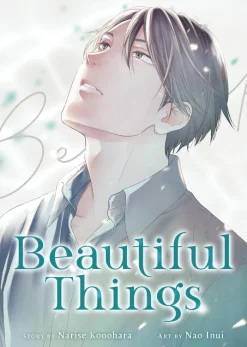 Beautiful Things Complete Manga Collector's