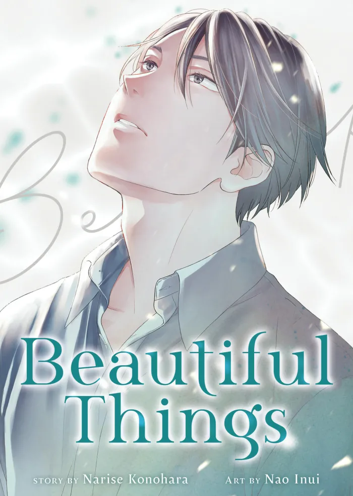 Beautiful Things Complete Manga Collector's