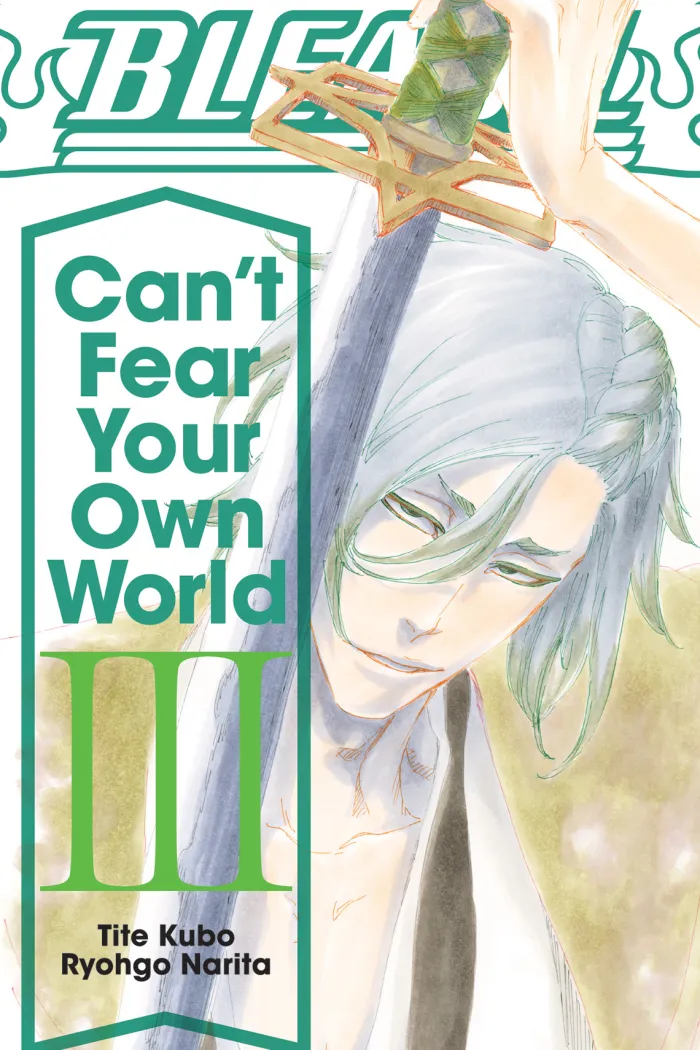 Bleach: Can't Fear Your Own World, Vol. 3: Volume 3 (Light Novel)