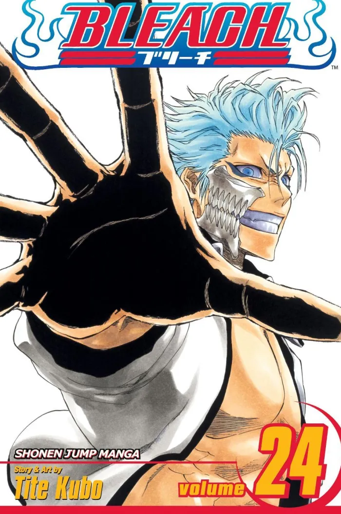 Bleach, Vol. 24