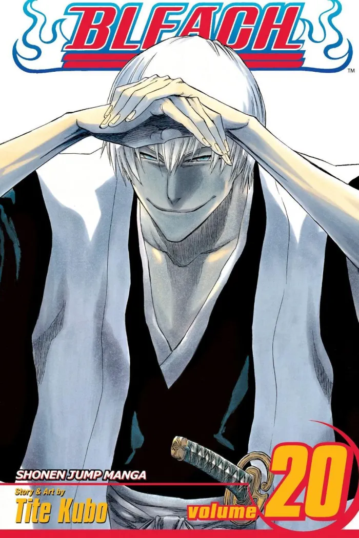 Bleach, Vol. 20