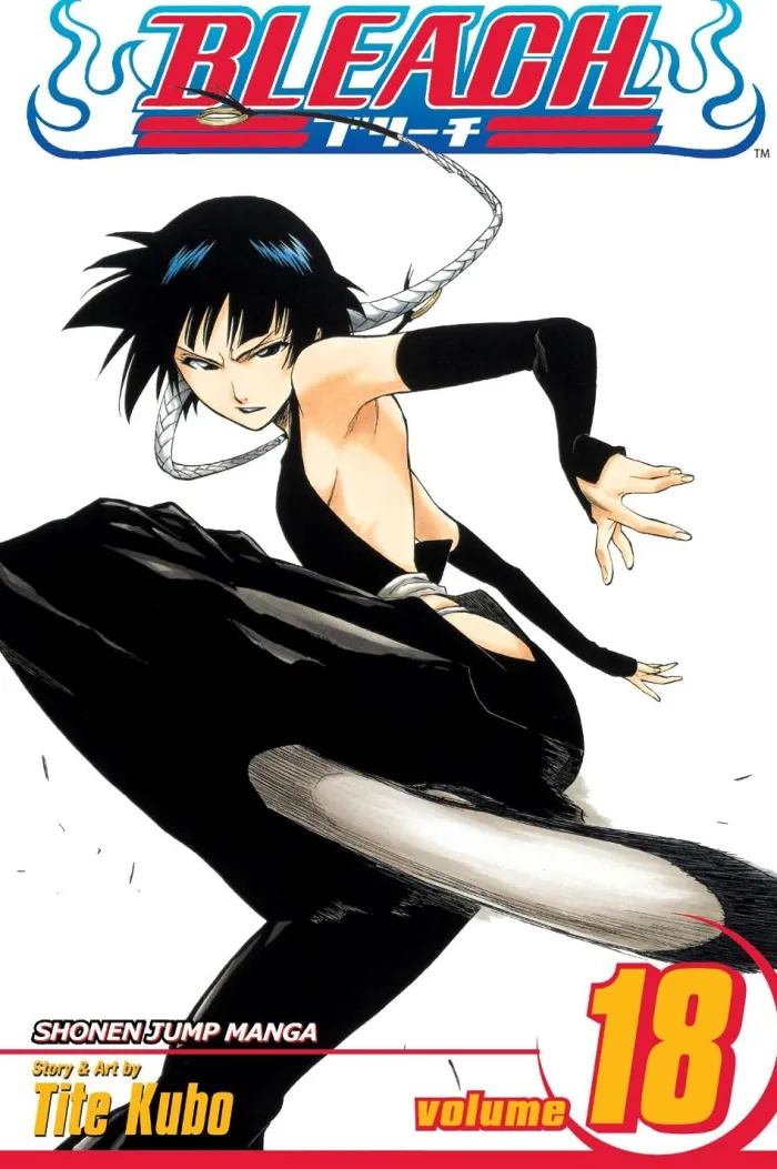 Bleach, Vol. 18