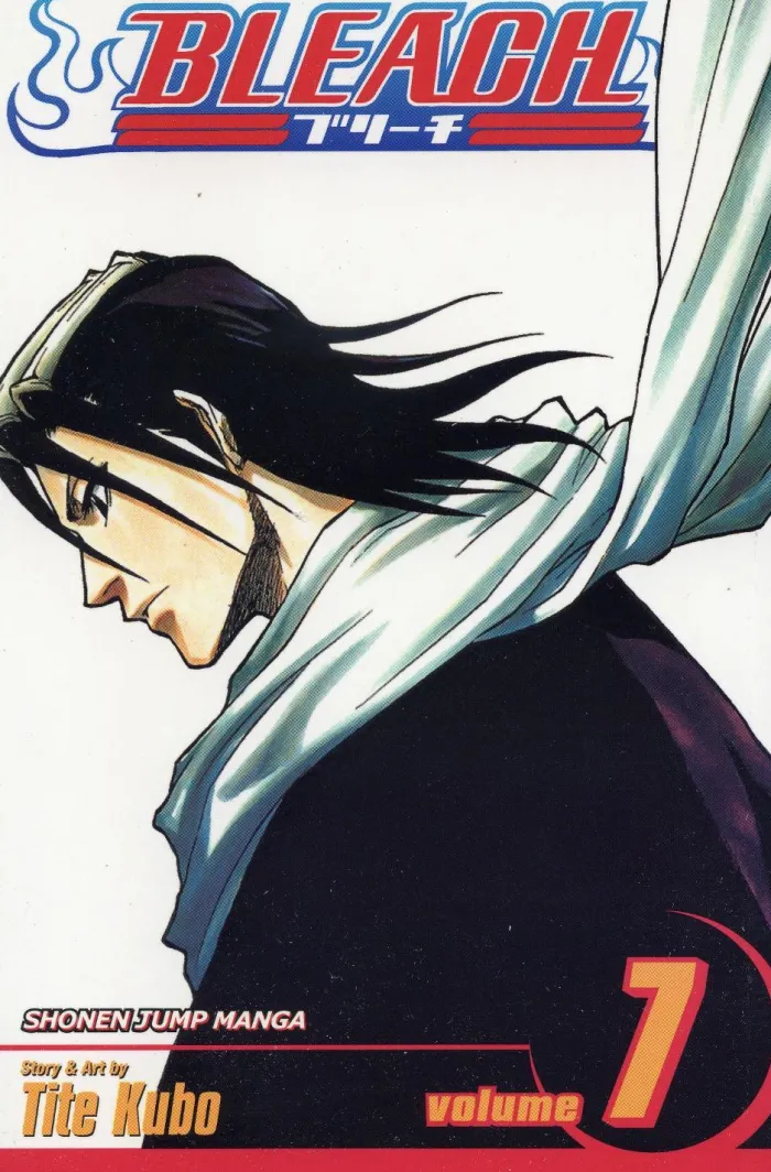 Bleach, Vol. 7