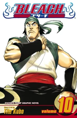 Bleach, Vol. 10