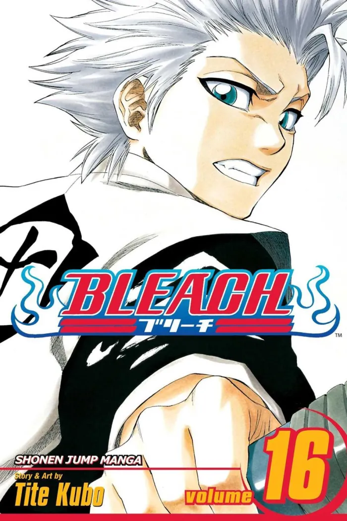 Bleach, Vol. 16