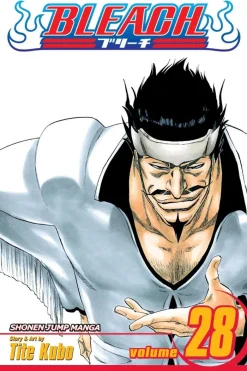 Bleach, Vol. 28