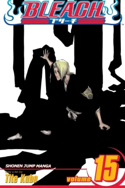 Bleach, Vol. 15
