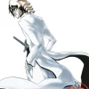Bleach, Vol. 22