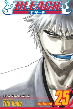 Bleach, Vol. 25: Volume 25