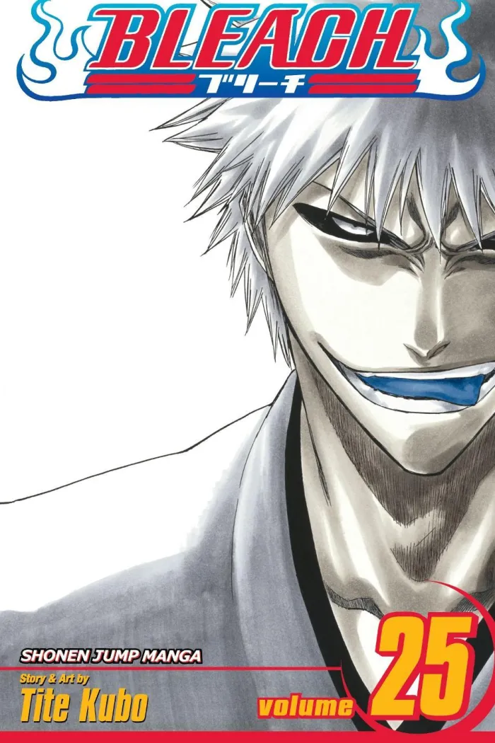 Bleach, Vol. 25: Volume 25