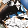 Cat Gamer