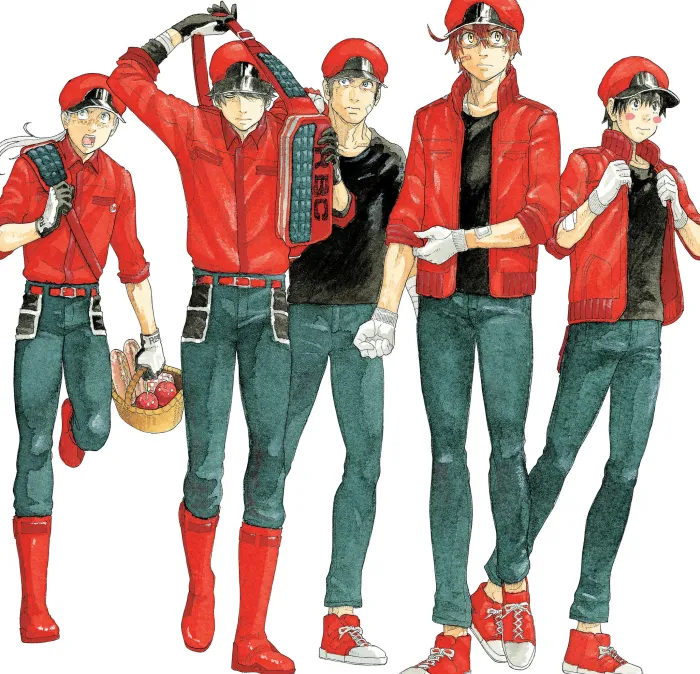 Cells at Work! CODE BLACK 6