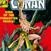 Conan Barbarian Original Omnibus Reg Edition Vol. 05