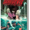 Daredevil Epic Collection: A Touch of Typhoid