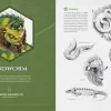 Designing Dragons: An artist's guide to the legendary mythical creatures
