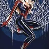 Df Amazing Spiderman #1 Brooks Blk Cat Virgin Exc