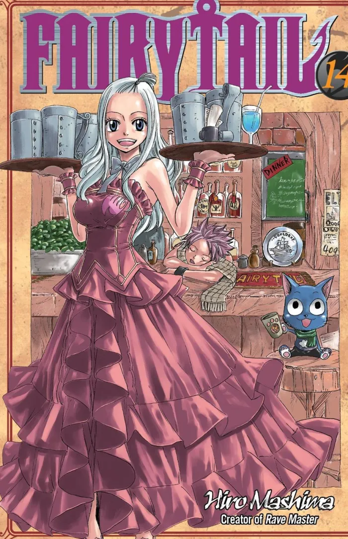 FAIRY TAIL Vol. 14