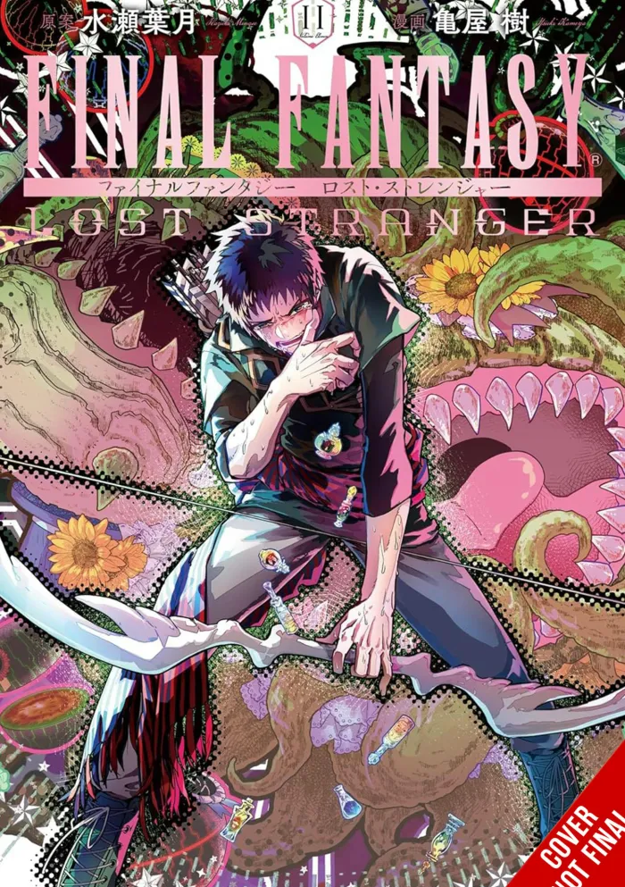 Final Fantasy Lost Stranger Vol. 11