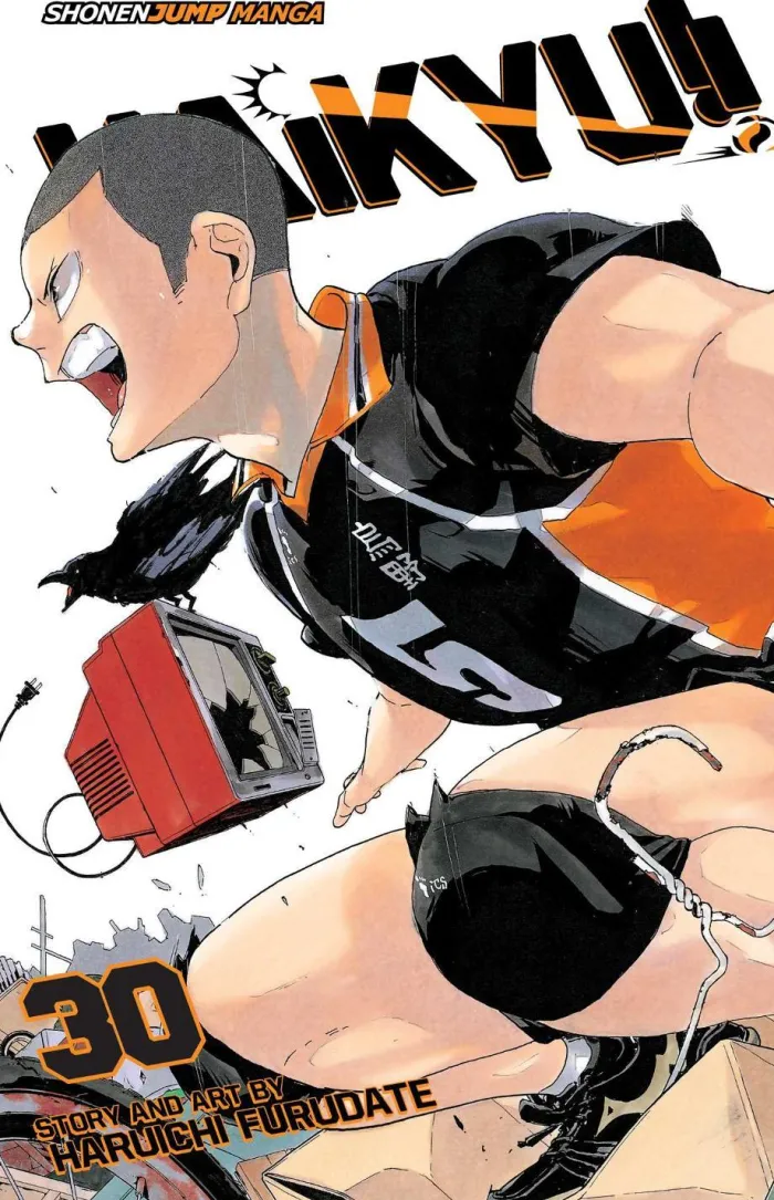 Haikyu!!, Vol. 30