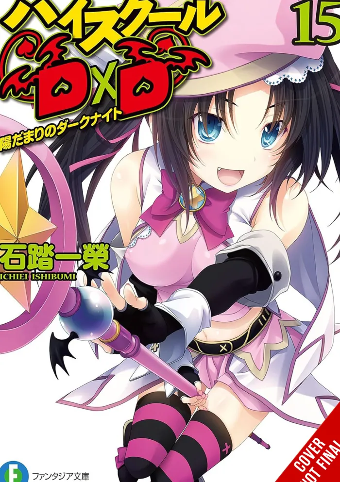 High School Dxd Sc Vol. 15 (Novel)