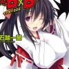 High School Dxd Sc Vol. 13 (Novel)