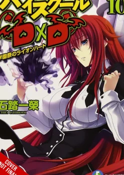 High School DxD, Vol. 10 (light novel)