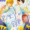 Hirano and Kagiura (novel)