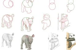 How to Draw: Baby Animals: In Simple Steps