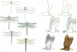 How to Draw: Nature: In Simple Steps