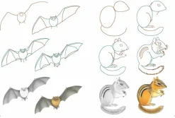 How to Draw: Nature: In Simple Steps