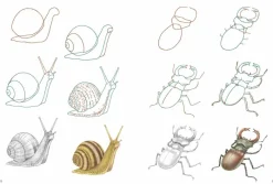 How to Draw: Nature: In Simple Steps