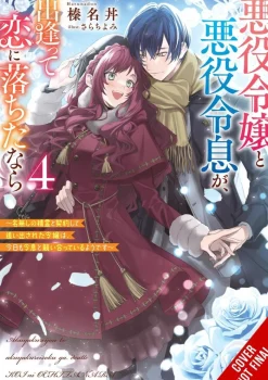 If Villainess & Villain Met & Fell in Love Vol. 04 (Novel)
