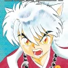Inuyasha (VIZBIG Edition), Vol. 2