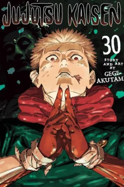 Jujutsu Kaisen, Vol. 30