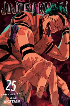 Jujutsu Kaisen Vol. 25