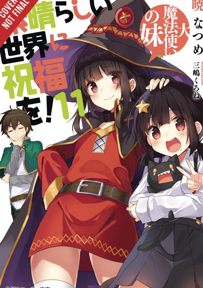 Konosuba: God's Blessing on This Wonderful World!, Vol. 11 (light novel)