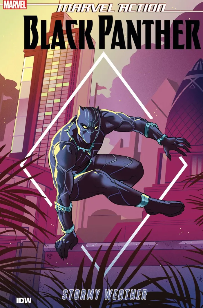 Marvel Action: Black Panther: Stormy Weather (Book One)