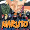 Naruto, Vol. 41