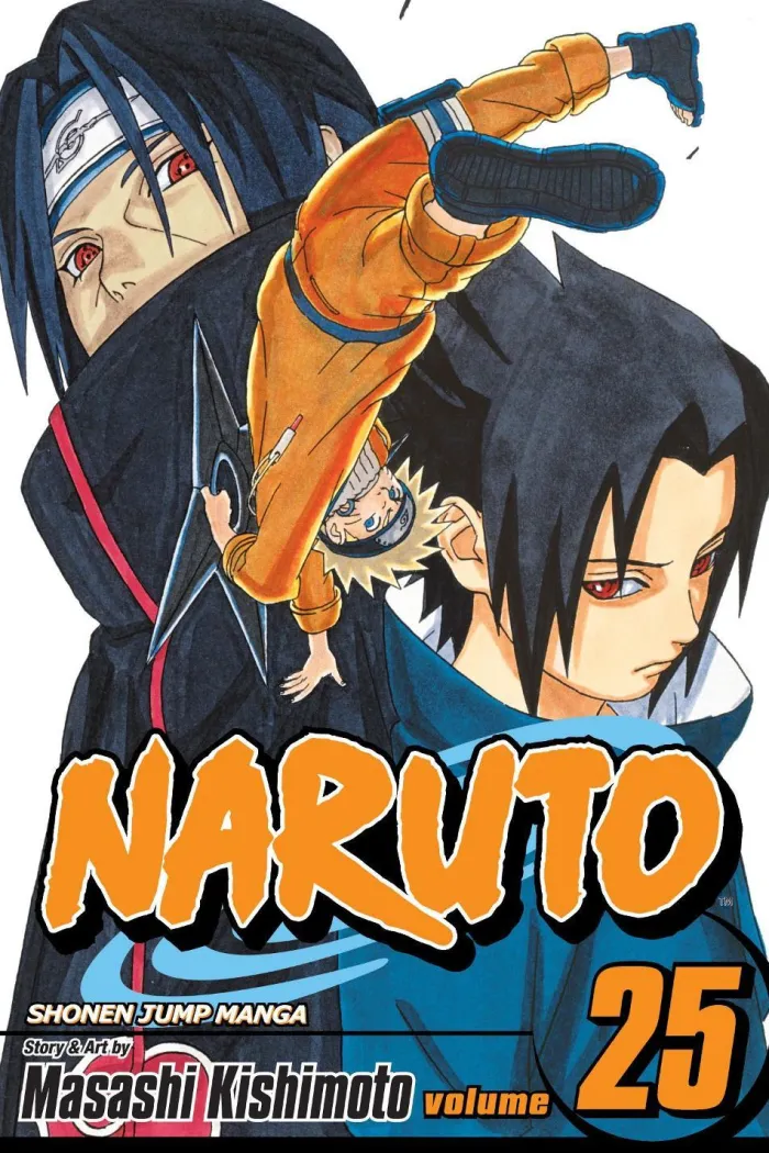 Naruto, Vol. 25