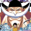 One Piece, Vol. 57
