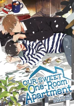 Our Sweet One Room Apartment