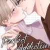 Perfect Addiction Vol. 2