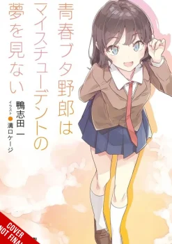 Rascal Does Not Dream of His Student (light novel)
