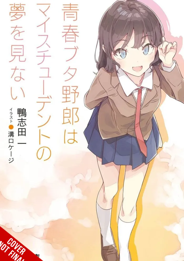 Rascal Does Not Dream of His Student (light novel)