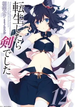 Reincarnated as a Sword: Another Wish Vol. 4